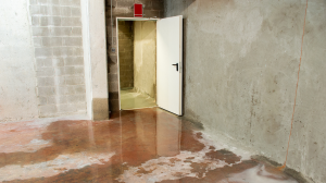 wet basement Barrie