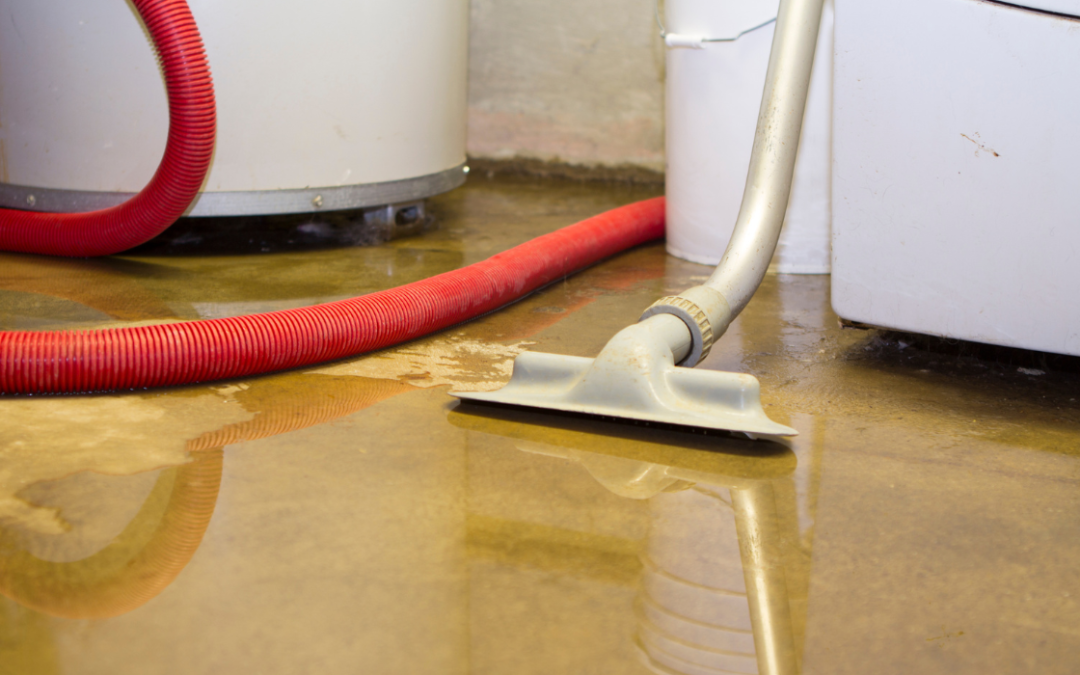 3 Qualities Professional Wet Basement Drainage Experts Must Have