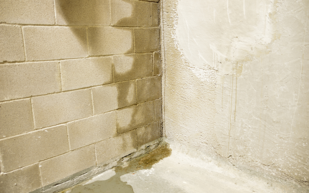 Busting 5 Myths About Wet Basement Waterproofing Services