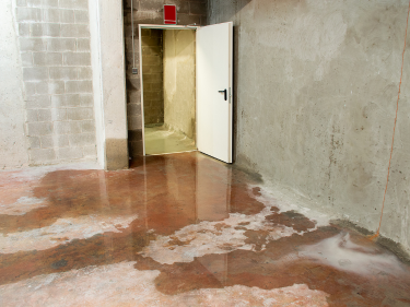 Wet Basement in Alliston