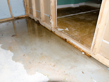 Wet Basement in Bracebridge